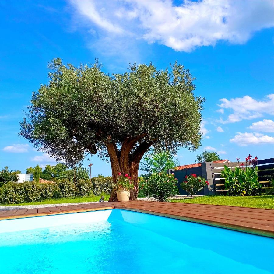 מורסאנס Maison Neuve Et Chaleureuse מראה חיצוני תמונה